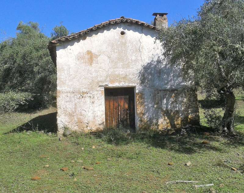 Homes for sale and rent in Sierra de Aracena y Picos de Aroche, Huelva.