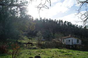 Grundstück/Finca zu verkaufen in Galaroza, Huelva. 