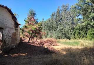 Rural/Agricultural land for sale in Nava (La), Nava (La), Huelva. 
